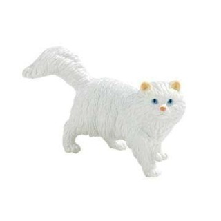 Pisica persana "Princess"