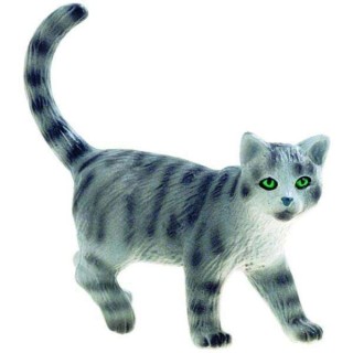 Pisica vargata "Minka"