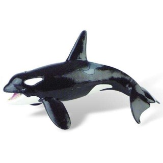 Balena Orca